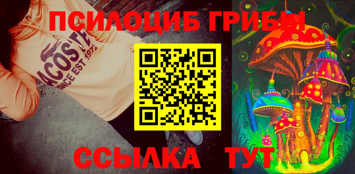 Ржев  Псилоцибиновые грибы Cubensis  Вход с VPN 
