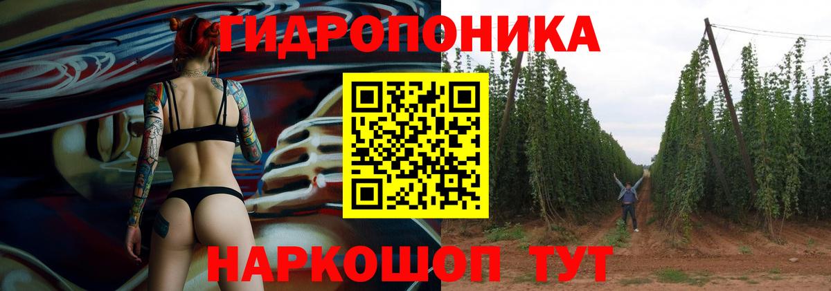 Бошки марихуана ГИДРОПОН  Вход с VPN  Ржев  Шишки марихуана Amnesia 